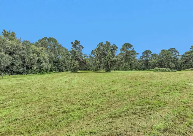 1st image of Lot 3 Paradise Point, Willis, TX 77318 | MLS# 74747408
