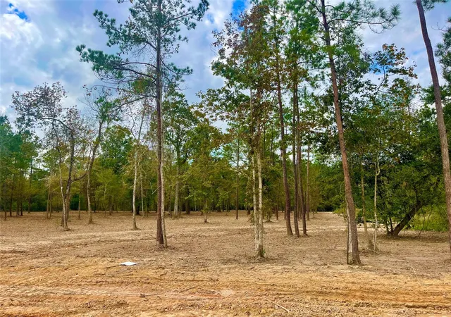 Photo 3 of Land for sale at 11766 Grand N Rd, Willis, TX 77378 | MLS# 10518040 | Listing updated on 2026-07-24