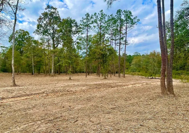 Photo 5 of Land for sale at 11766 Grand N Rd, Willis, TX 77378 | MLS# 10518040 | Listing updated on 2026-07-24