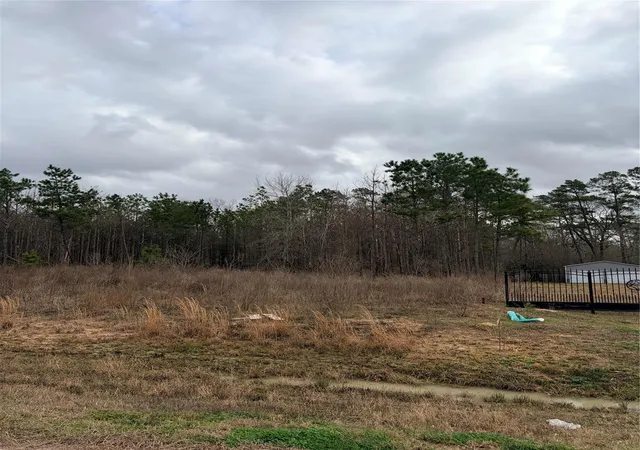 Photo 3 of Land for sale at 279 & 281 Rd 5513, Cleveland, TX 77327 | MLS# 68819514 | Listing updated on 2026-10-23