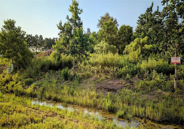 Photo 3 of Land for sale at 597 Road 5516, Cleveland, TX 77327 | MLS# 73448288 | Listing updated on 2026-09-23