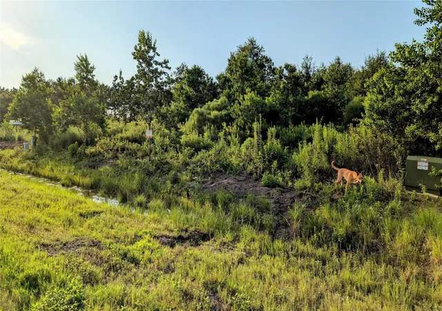 Photo 3 of Land for sale at 597 Road 5516, Cleveland, TX 77327 | MLS# 73448288 | Listing updated on 2026-09-23