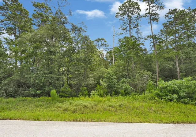 Photo 2 of Land for sale at 177 Brahman Ln, Huntsville, TX 77340 | MLS# 14874442 | Listing updated on 2026-07-07