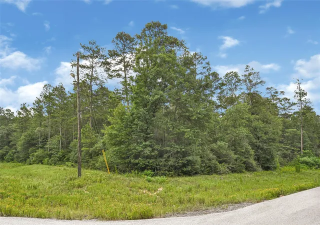 Photo 2 of Land for sale at 177 Brahman Ln, Huntsville, TX 77340 | MLS# 14874442 | Listing updated on 2026-07-07