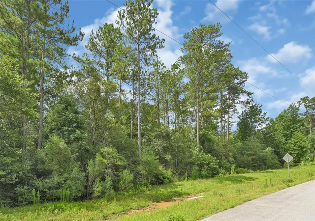 Photo 3 of Land for sale at 177 Brahman Ln, Huntsville, TX 77340 | MLS# 14874442 | Listing updated on 2026-07-07