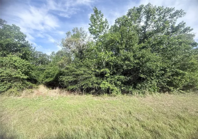 1st image of 21203 Grant Lake Cir, Cleveland, TX 77328 | MLS# 82917095