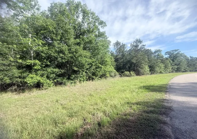 2nd image of 21203 Grant Lake Cir, Cleveland, TX 77328 | MLS# 82917095