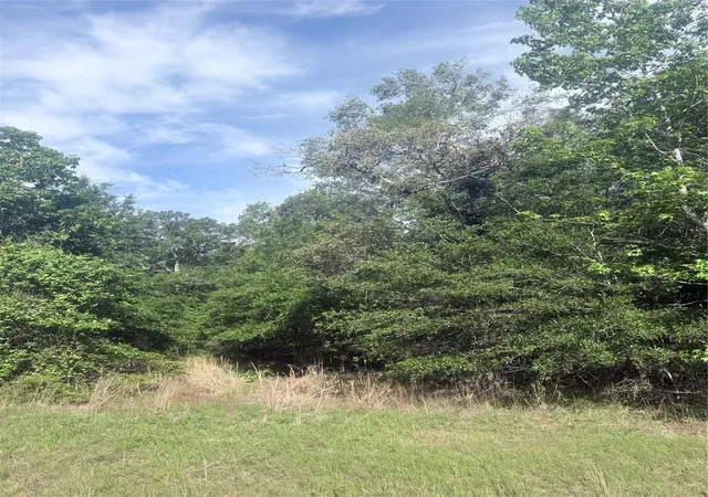 3rd image of 21203 Grant Lake Cir, Cleveland, TX 77328 | MLS# 82917095