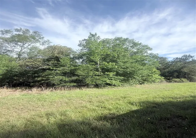 4th image of 21203 Grant Lake Cir, Cleveland, TX 77328 | MLS# 82917095