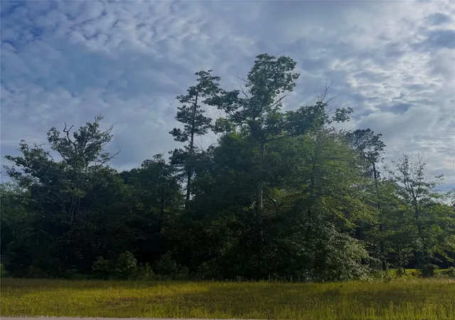3rd image of 147 Eagle Run Rd, Willis, TX 77378 | MLS# 46429428