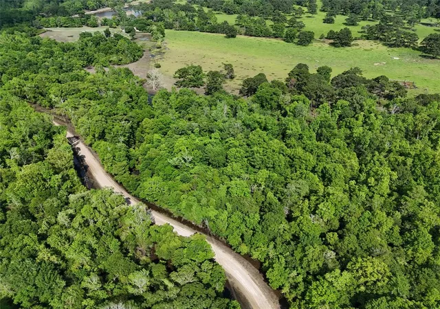 Land for sale at Tbd County Road 149, Liberty, TX 77575 | MLS# 86437722