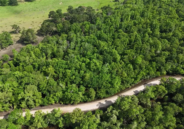 Photo 3 of Land for sale at Tbd County Road 149, Liberty, TX 77575 | MLS# 86437722 | Listing updated on 2026-09-14