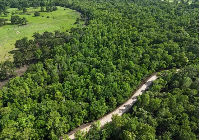 Photo 3 of Land for sale at Tbd County Road 149, Liberty, TX 77575 | MLS# 86437722 | Listing updated on 2026-09-14