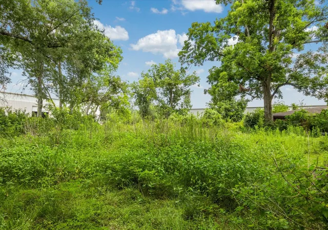 Homes for sale in Spring, TX | 616 Spring Cypress Rd, Spring, TX 77373 | MLS# 66704643