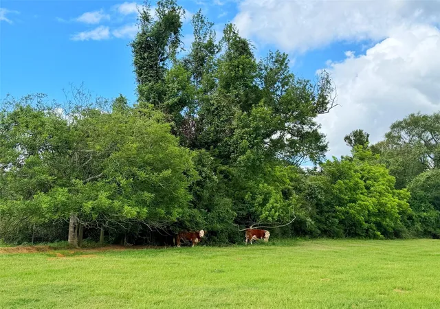 Homes for sale in Centerville, TX | Tbd Cr 112, Centerville, TX 75833 | MLS# 60023101