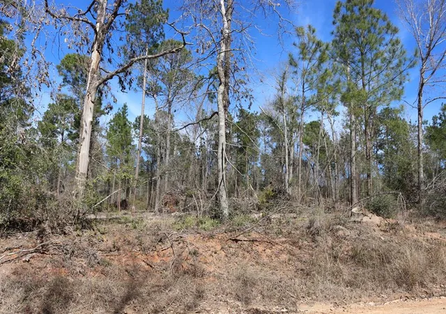 4th image of 10-2 N Hanson Road, Onalaska, TX 77360 | MLS# 70713361