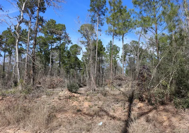 5th image of 10-2 N Hanson Road, Onalaska, TX 77360 | MLS# 70713361