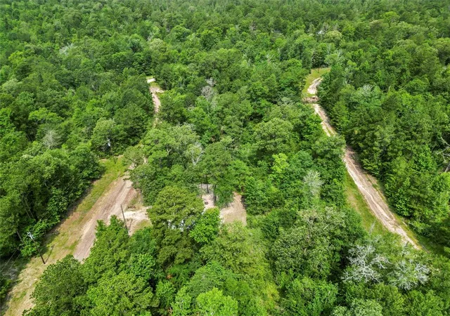 Photo 30 of Land for sale at 163 Shadywood Dr, Trinity, TX 75862 | MLS# 20474216 | Listing updated on 2026-05-07