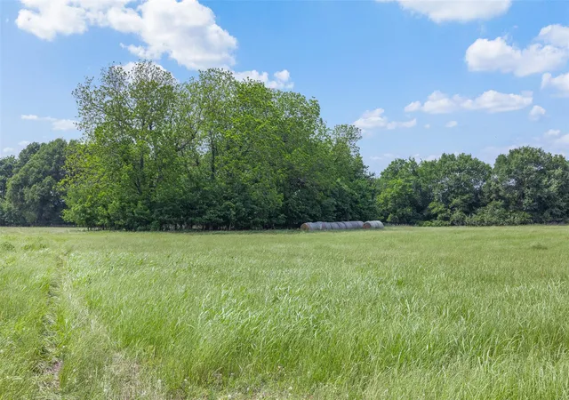 19th image of Tbd W Shelby, Bremond, TX 76629 | MLS# 16659788