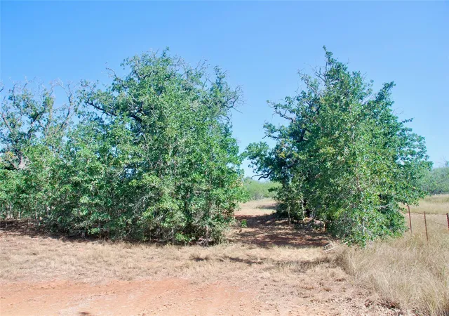 Photo 4 of Land for sale at Tbd Cr 426, Waelder, TX 78959 | MLS# 59493197 | Listing updated on 2026-08-08