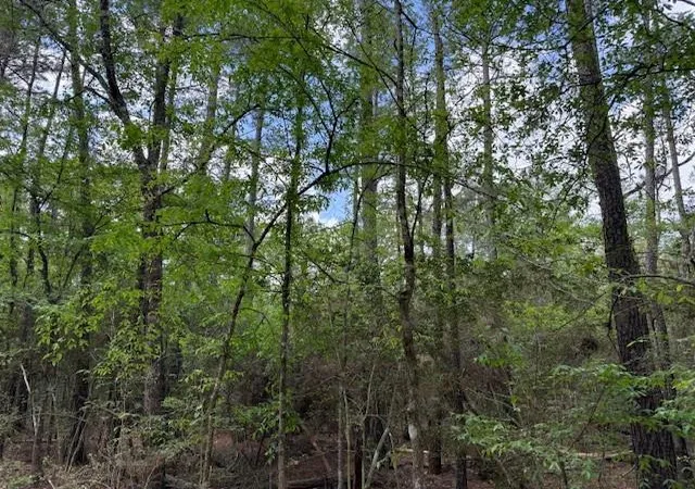 Homes for sale in Plantersville, TX | 0 Gum Tree Ln, Plantersville, TX 77363 | MLS# 47544527