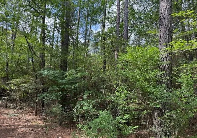 Homes for sale in Plantersville, TX | 0 Gum Tree Ln, Plantersville, TX 77363 | MLS# 47544527