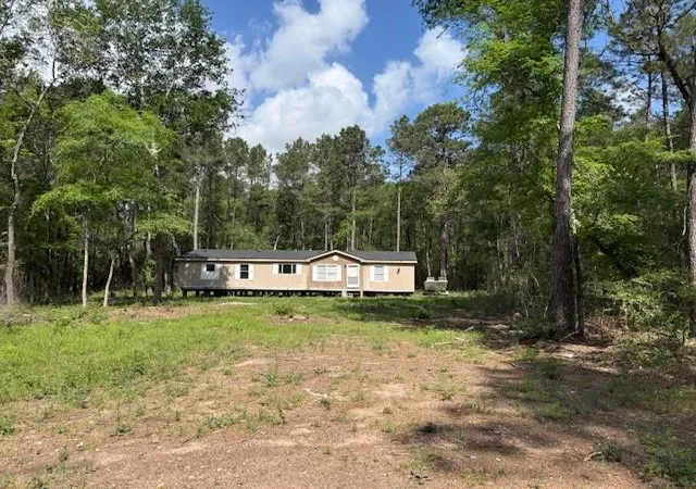 Homes for sale in Plantersville, TX | 0 Gum Tree Ln, Plantersville, TX 77363 | MLS# 47544527