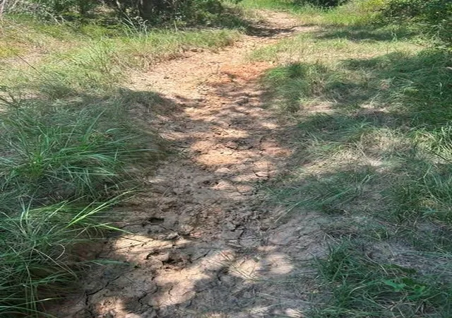 11th image of 0 Hwy 14, Thornton, TX 76687 | MLS# 5884927