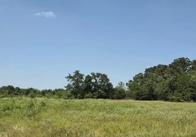 1st image of 0 Hwy 14, Thornton, TX 76687 | MLS# 5884927