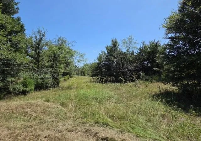 2nd image of 0 Hwy 14, Thornton, TX 76687 | MLS# 5884927