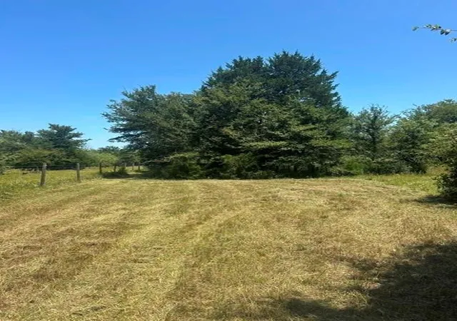 Photo 3 of Land for sale at 0 Highway 14, Thornton, TX 76687 | MLS# 5884927 | Listing updated on 2026-07-29