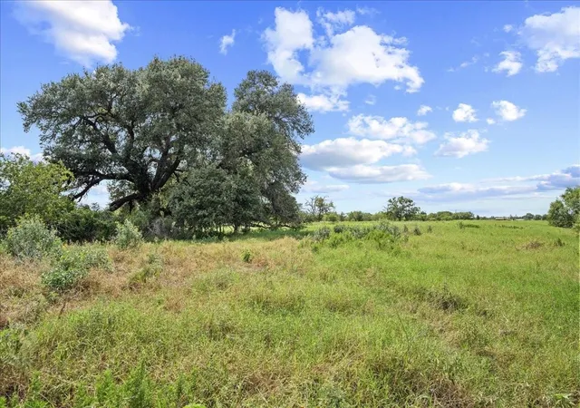 Photo 3 of Land for sale at 399 Prune Rd, La Grange, TX 78945 | MLS# 8807639 | Listing updated on 2026-07-25