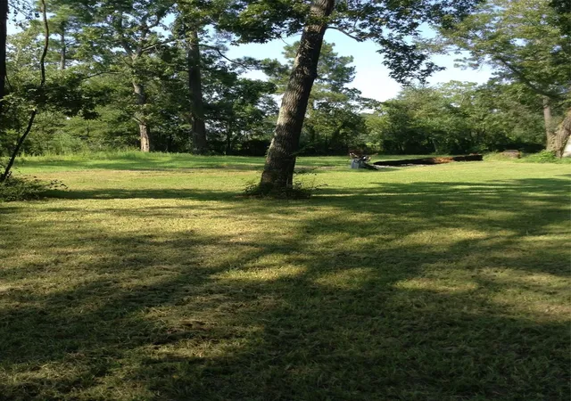 Photo 3 of Land for sale at 26340 Blackberry Lane, New Caney, TX 77357 | MLS# 67797960 | Listing updated on 2026-04-09