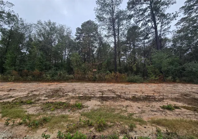 Homes for sale in New Waverly, TX | 142 Splendid Rd, New Waverly, TX 77358 | MLS# 81709196