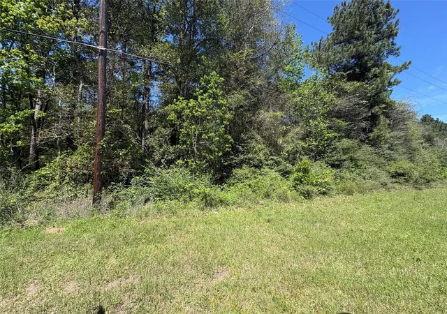 1st image of Tbd Fm 92 Rd S, Spurger, TX 77660 | MLS# 86713117