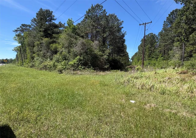 2nd image of Tbd Fm 92 Rd S, Spurger, TX 77660 | MLS# 86713117