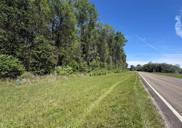 Photo 3 of Land for sale at Tbd Fm 92 Rd S, Spurger, TX 77660 | MLS# 86713117 | Listing updated on 2026-04-14
