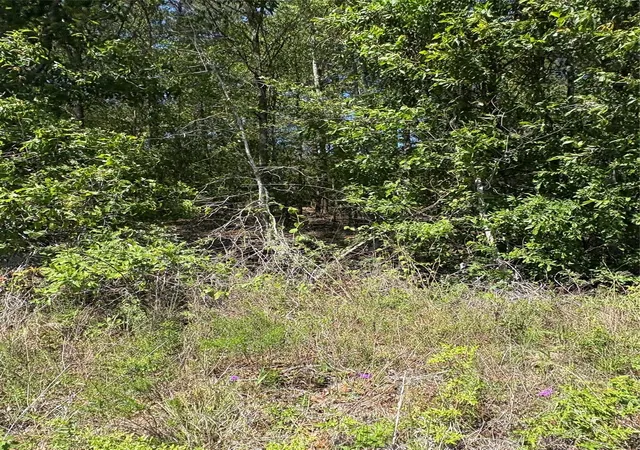 4th image of Tbd Fm 92 Rd S, Spurger, TX 77660 | MLS# 86713117