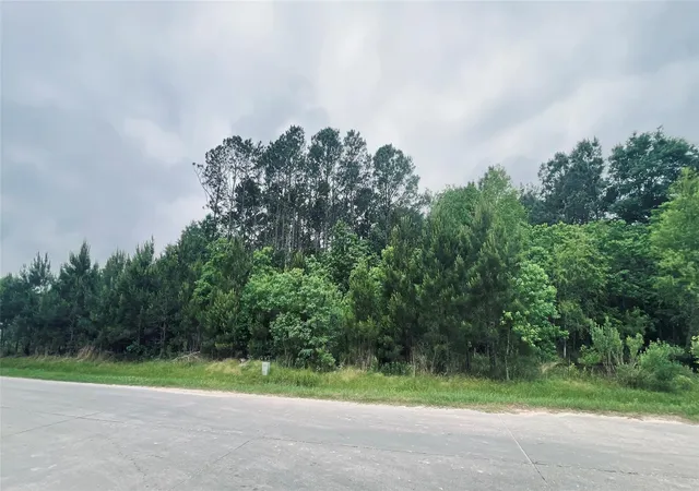 Photo 2 of Land for sale at 1149 County Rd 5010, Cleveland, TX 77327 | MLS# 26537943 | Listing updated on 2026-04-27