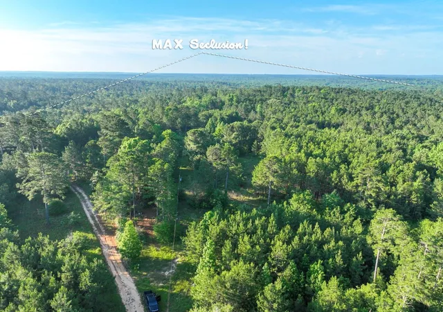 Photo 3 of Land for sale at 00 County Road 2064, Crockett, TX 75835 | MLS# 91950535 | Listing updated on 2026-08-29