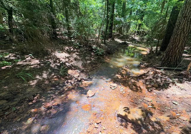Photo 4 of Land for sale at 00 County Road 2064, Crockett, TX 75835 | MLS# 91950535 | Listing updated on 2026-08-29