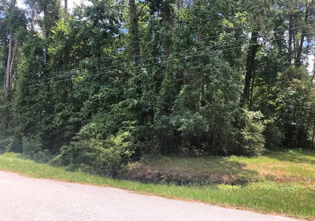 Photo 1 of Land for sale at 0 Bettyann Ln, Houston, TX 77339 | MLS# 50439364 | Listing updated on 2026-06-17