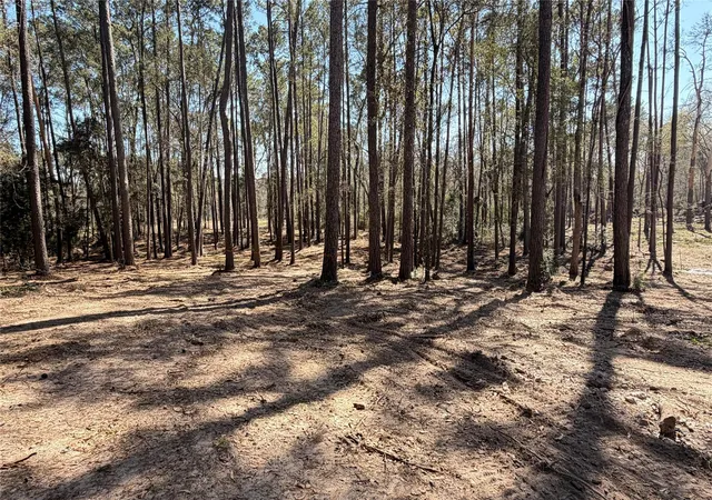 Photo 2 of Land for sale at 0 Michael Dr, Magnolia, TX 77355 | MLS# 55320191 | Listing updated on 2026-04-26