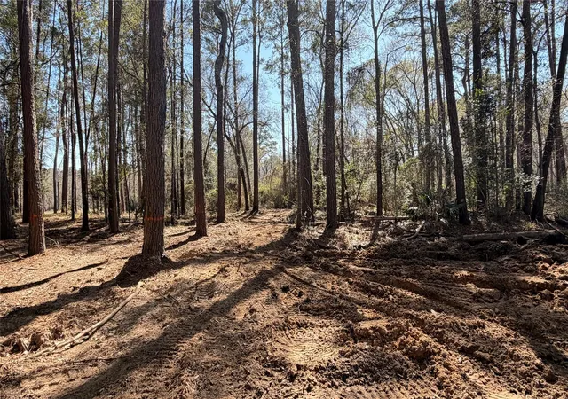 Photo 3 of Land for sale at 0 Michael Dr, Magnolia, TX 77355 | MLS# 55320191 | Listing updated on 2026-04-26