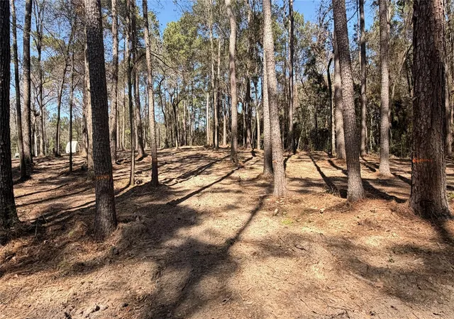 Photo 3 of Land for sale at 0 Michael Dr, Magnolia, TX 77355 | MLS# 55320191 | Listing updated on 2026-04-26