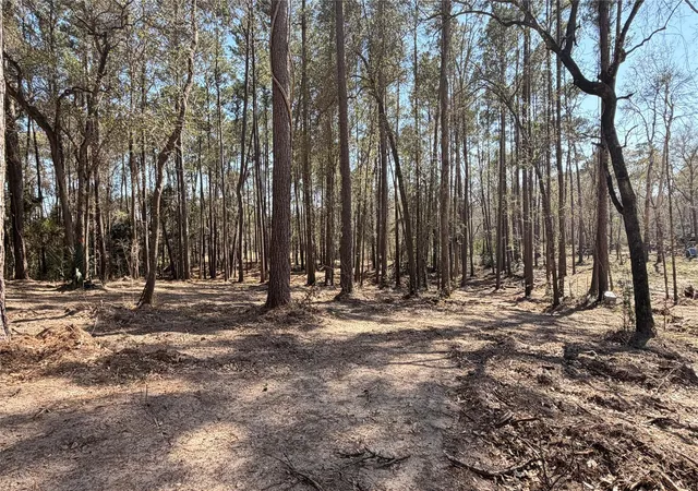 Photo 4 of Land for sale at 0 Michael Dr, Magnolia, TX 77355 | MLS# 55320191 | Listing updated on 2026-04-26