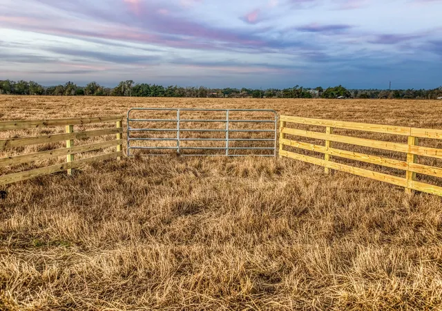 1st image of T B D County Road 318, Caldwell, TX 77836 | MLS# 13348328