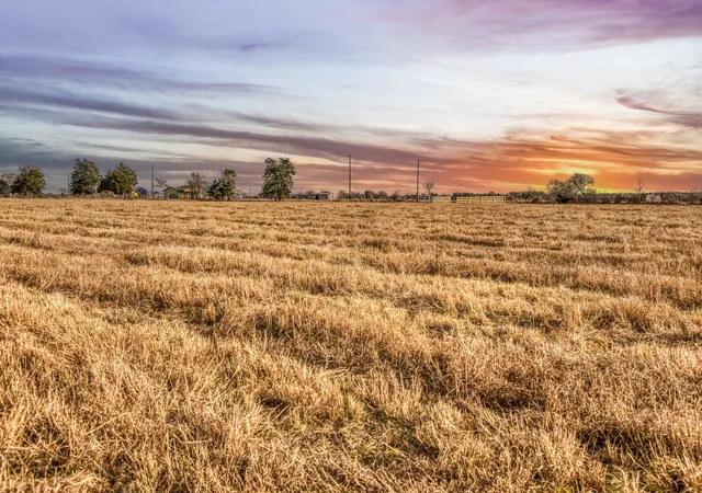 3rd image of T B D County Road 318, Caldwell, TX 77836 | MLS# 13348328