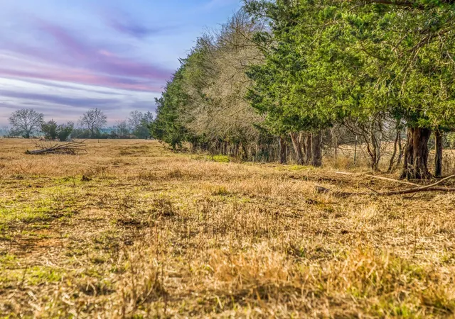 5th image of T B D County Road 318, Caldwell, TX 77836 | MLS# 13348328