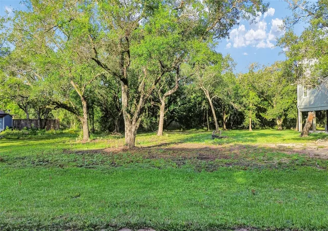 Photo 3 of Single family home for sale at 6318 Tercero, Brazoria, TX 77422 | MLS# 56710459 | Listing updated on 2026-05-29
